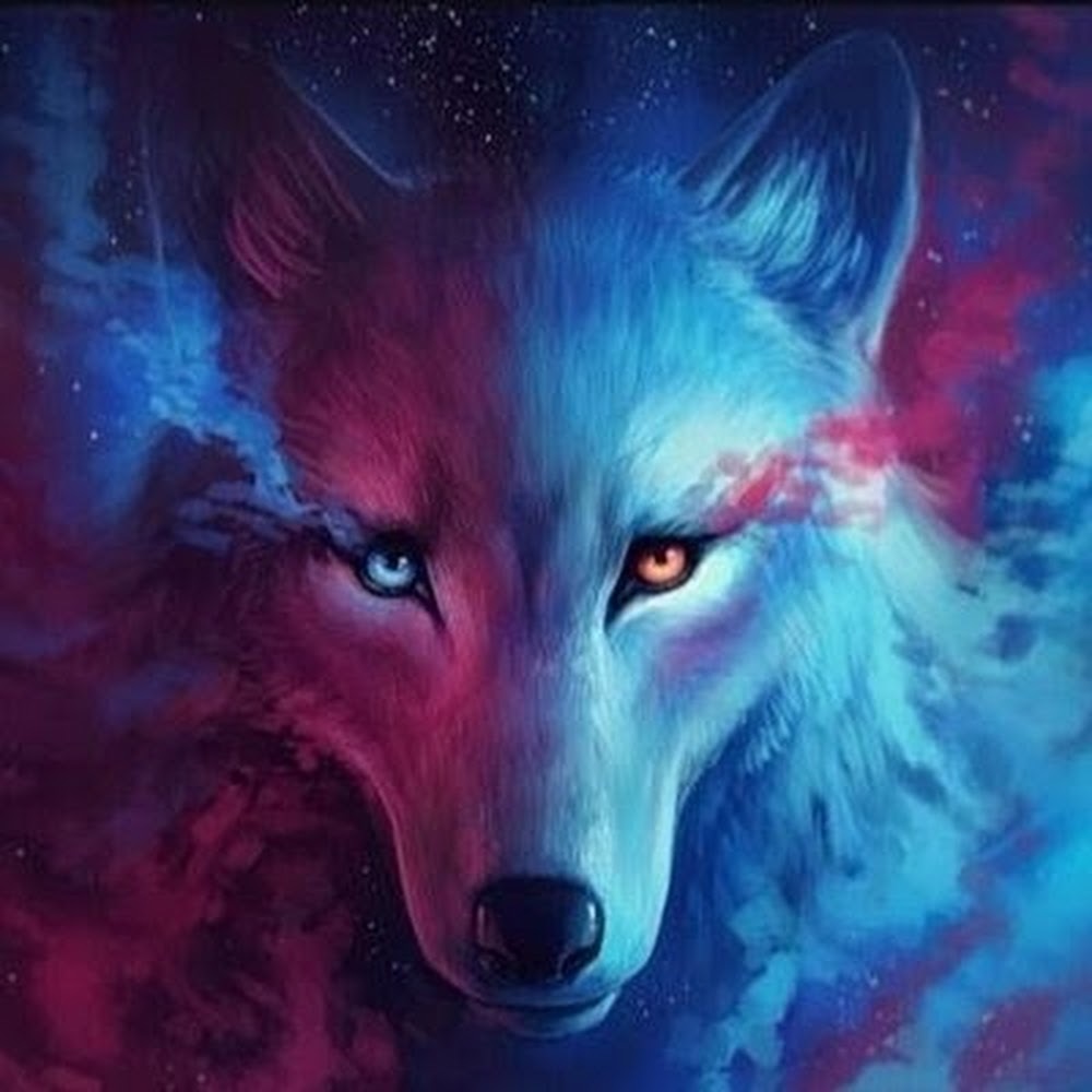 Meet your Posher, Im not